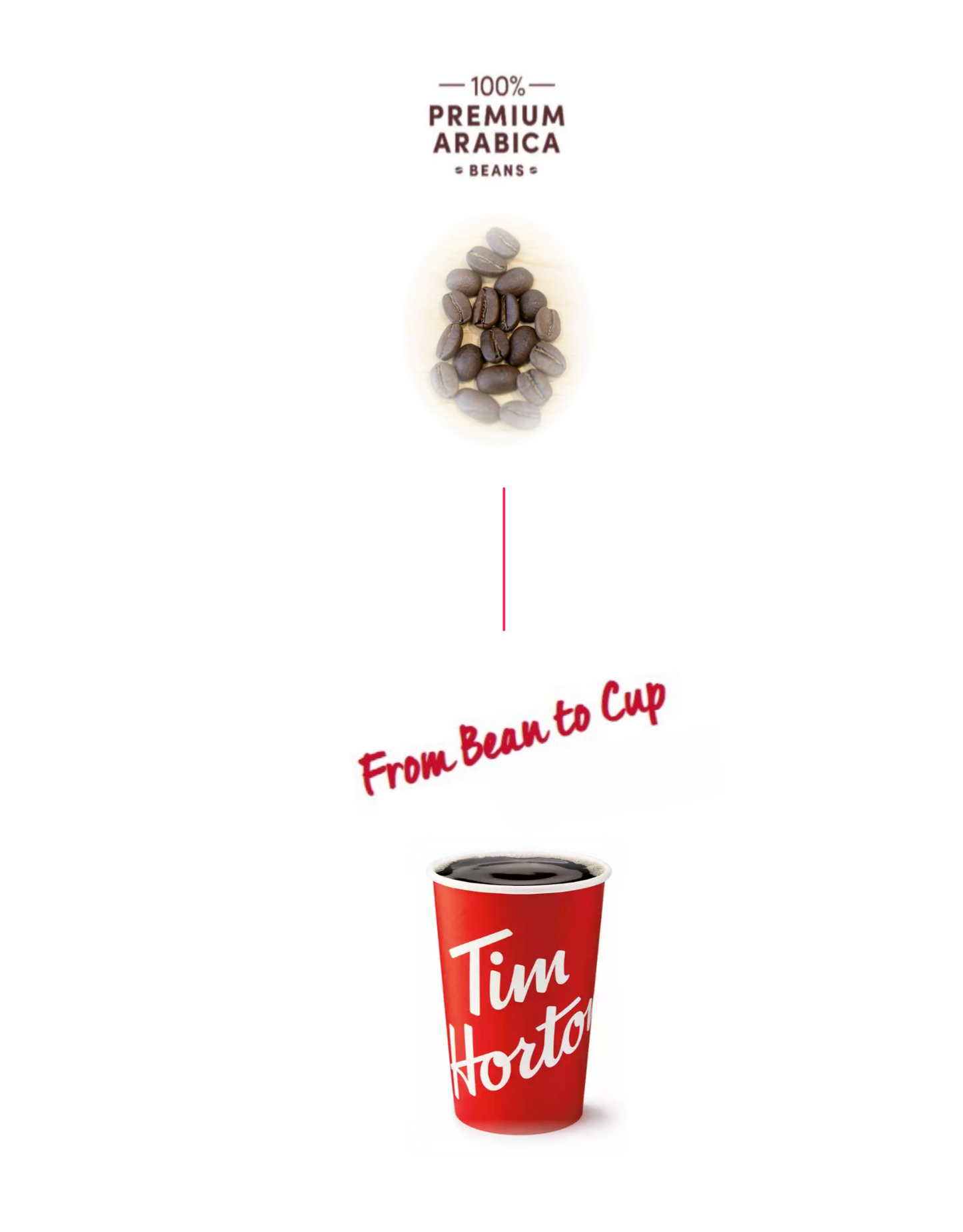 Tim Hortons Whole Bean Coffee, Medium Roast 907g